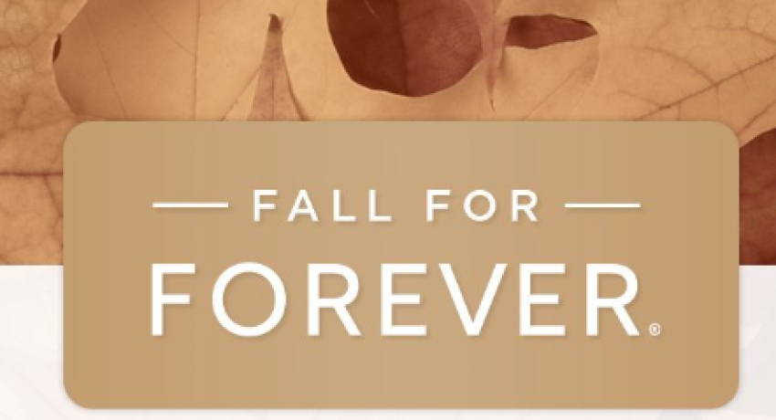 October 2023 Newsletter